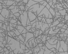 nanotubes closeup