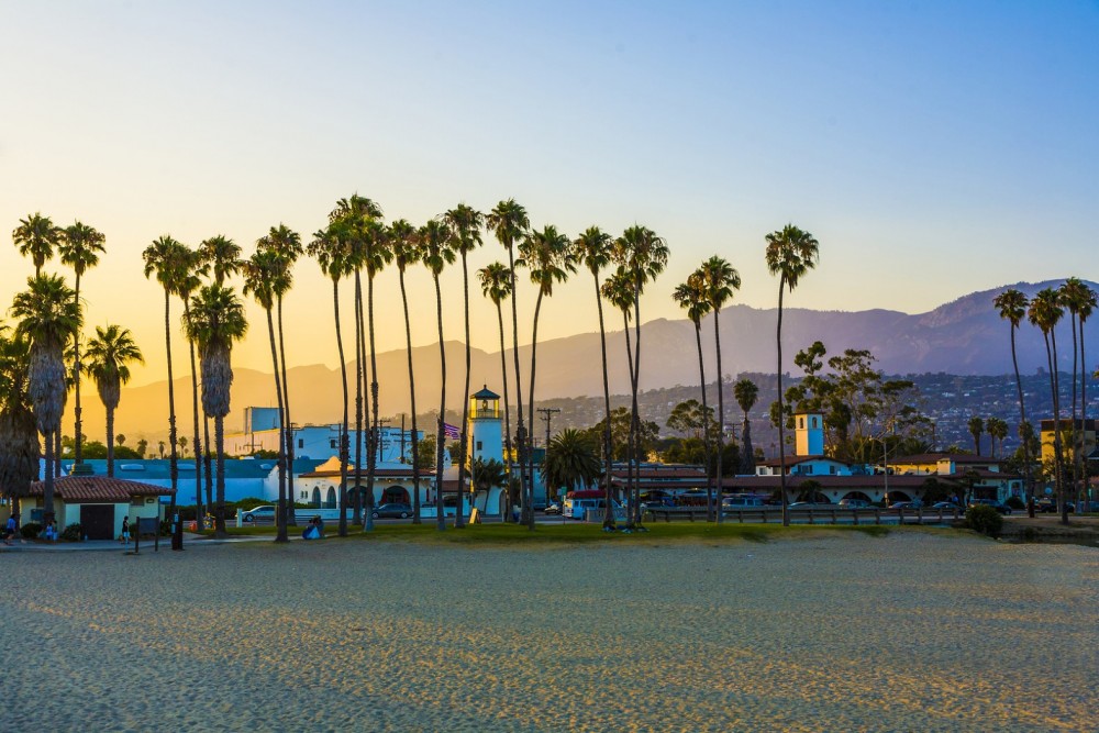 west beach palm trees at sunset