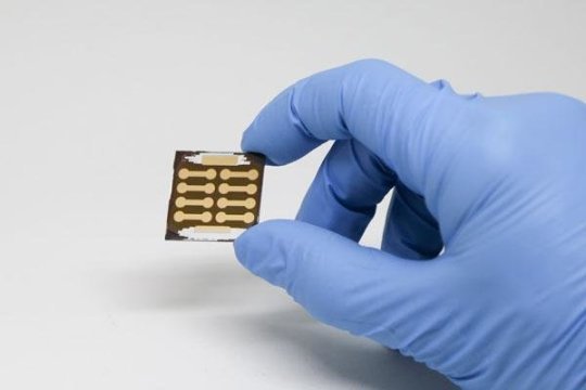 perovskite solar cell