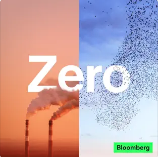 bloomberg zero graphic 