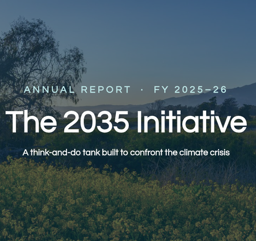 2035 Initiative Annual Report