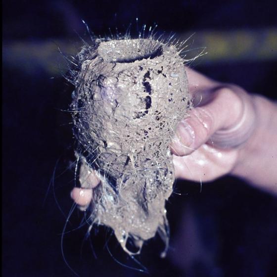 Sponge Glass fibers