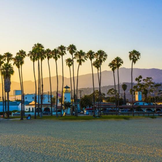 west beach palm trees at sunset