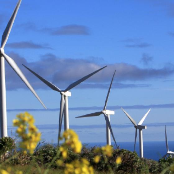 wind turbines