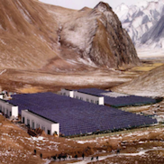 chinese electric plant