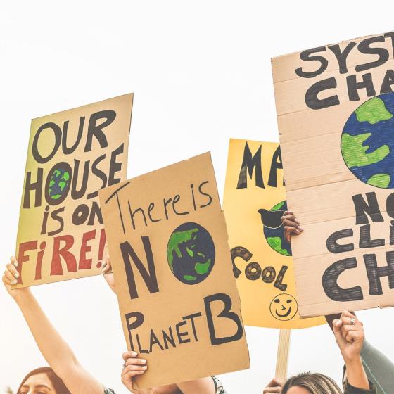 Photo of 5 posters supporting climate action
