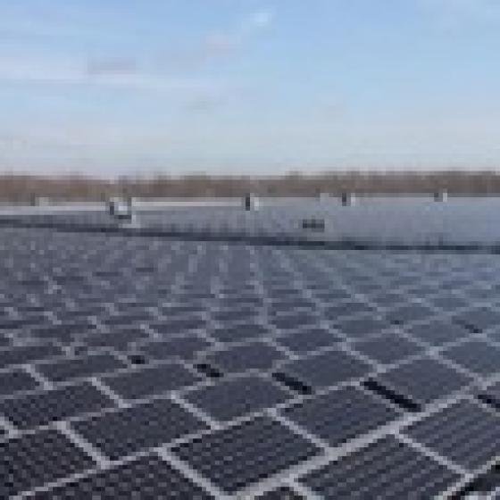 solar panels 