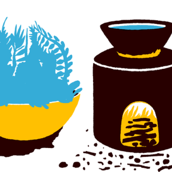 potted plant and woodfired stove illustration