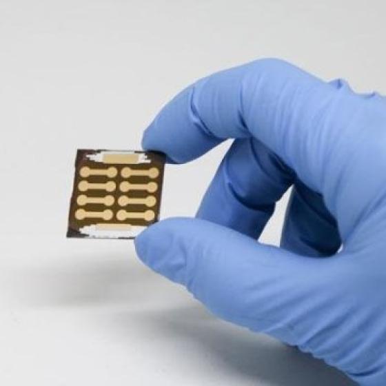 perovskite solar cell