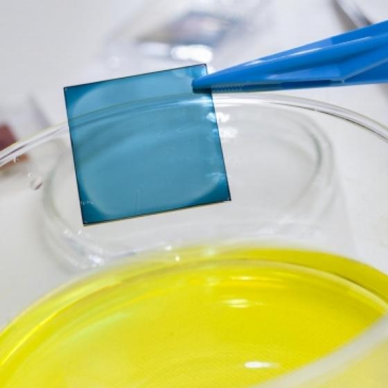 polymer film 