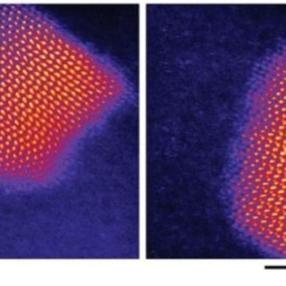 quantum dots