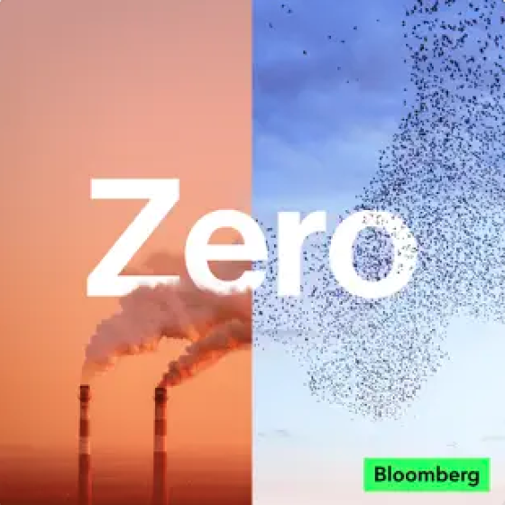 bloomberg zero graphic 