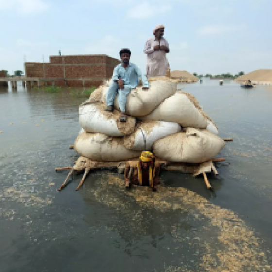 people on bags in a flood