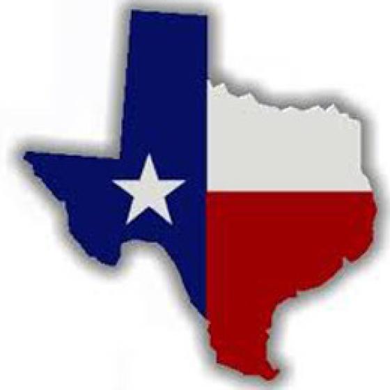 texas flag