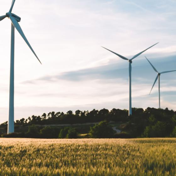 Wind farm stock photo. Construction worker in orange high vis vest in the foreground, four wind turbines in the background.